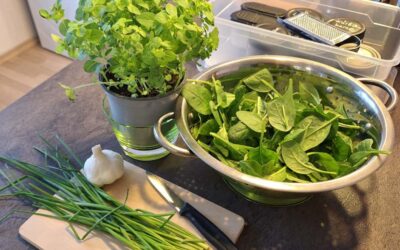 Diplomarbeit trifft GENUSS.Schule