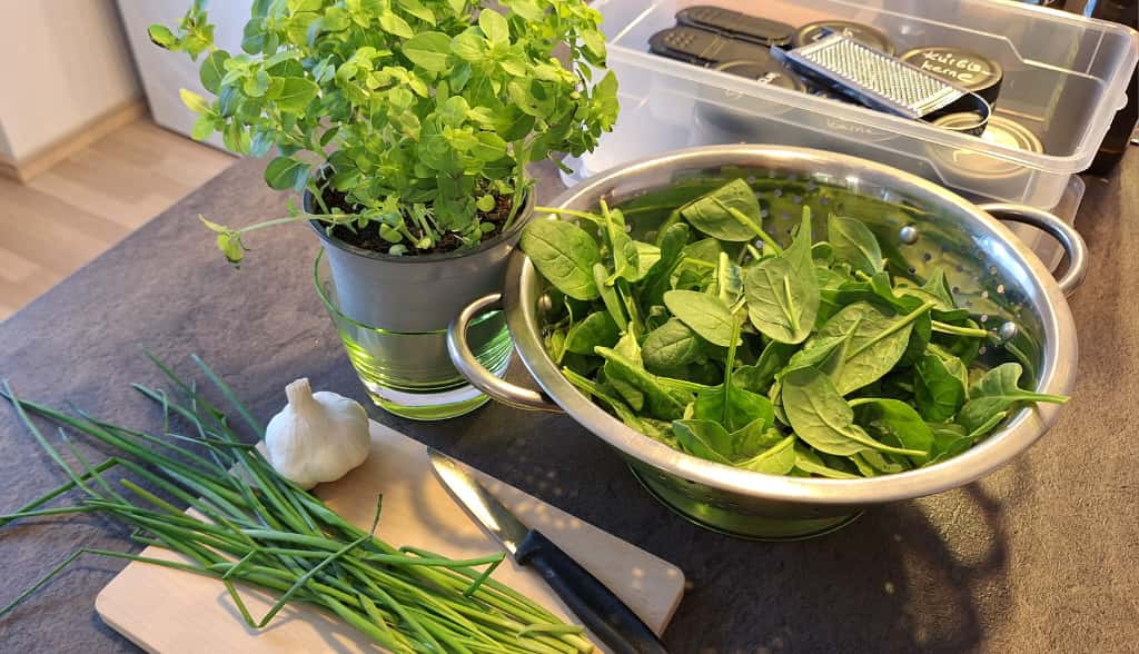 Diplomarbeit trifft GENUSS.Schule